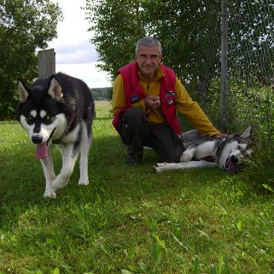 Hundekutsches Avatar