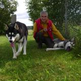 Hundekutsches Avatar