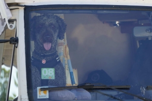 Für größeres Bild bitte klicken!