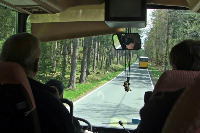 Für größeres Bild bitte klicken!