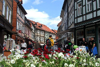 Für größeres Bild bitte klicken!