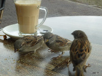 Für größeres Bild bitte klicken!