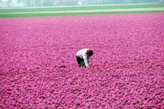 Für größeres Bild bitte klicken!