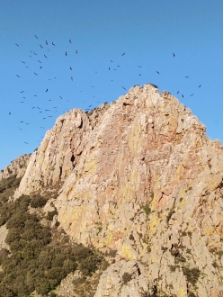 Für größeres Bild bitte klicken!