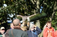 Für größeres Bild bitte klicken!