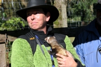 Für größeres Bild bitte klicken!