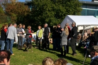 Für größeres Bild bitte klicken!