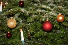 Für größeres Bild bitte klicken!