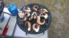 Für größeres Bild bitte klicken!