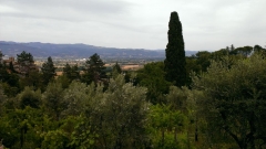 Für größeres Bild bitte klicken!